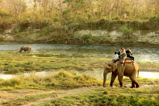 [:en]The Chitwan National Park[:ru]Национальный парк Читван[:SI]චිත්වාන් ජාතික උද්යානය[:]