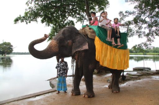 [:en]Winter Vacation 2012[:ru]Зимние Каникулы-2012[:SI]2012 ශීත කාලගුණ නිවාඩුව[:]