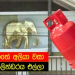 සිරිකොතේ අලියා වසා ගෑස් සිලින්ඩරය.. සූත්තර පුංචව රවට්ටන්න බෑ..