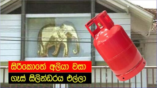 සිරිකොතේ අලියා වසා ගෑස් සිලින්ඩරය.. සූත්තර පුංචව රවට්ටන්න බෑ..